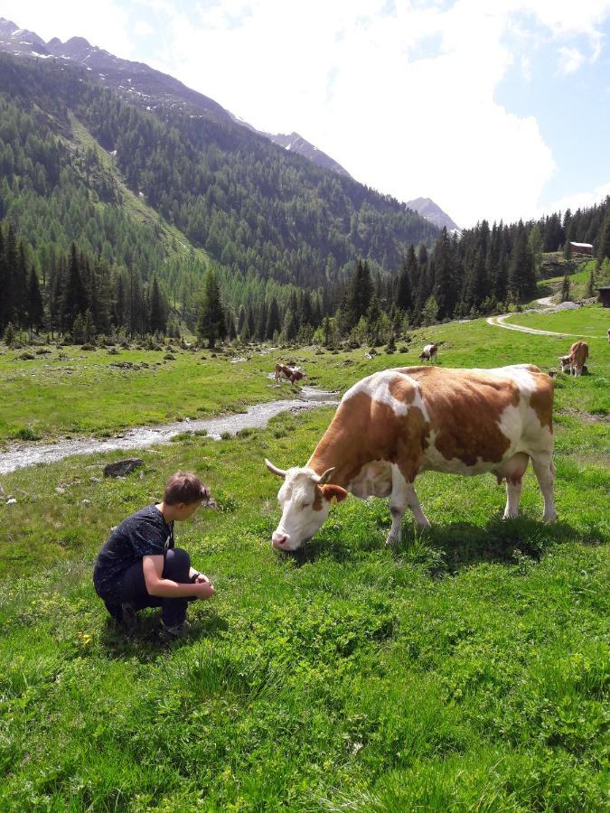 Zirbenchalet Grossglockner Heiligenblut Luaran gambar